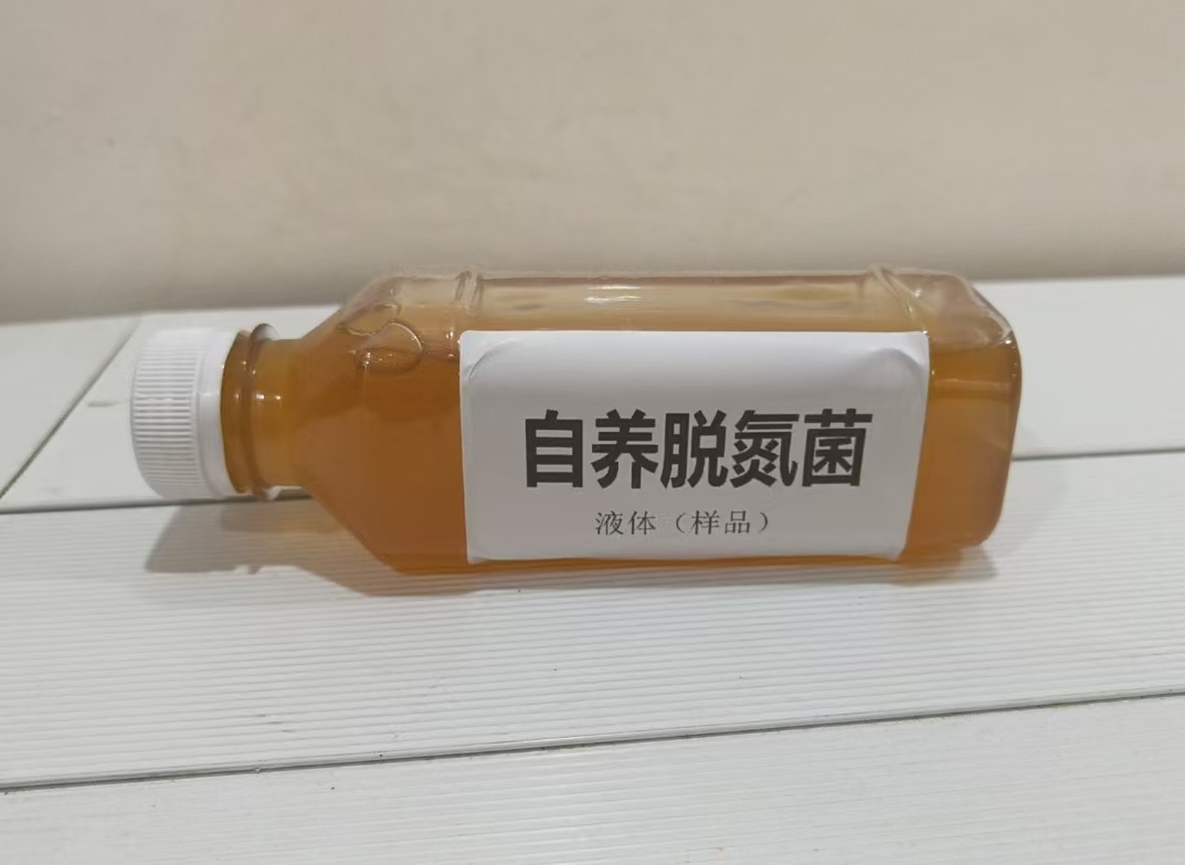 ���B(y��ng)������